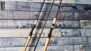 RX7 Multipurpose Saltwater Blanks - Raindshadow