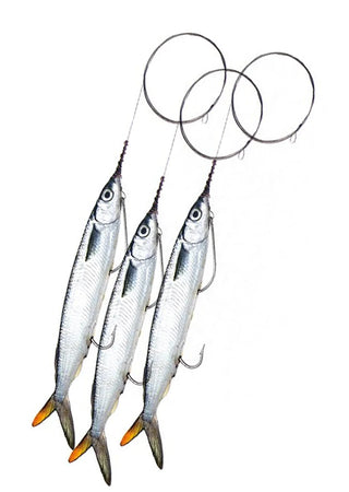 Ballyhoo Wire Rigged 3 pk - Frozen