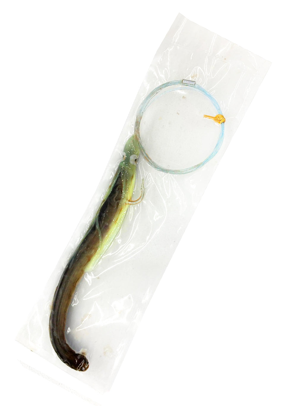eel with fishing lure Eel Rigged for Daytime Sword Fishing