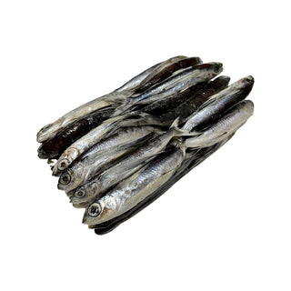 Flying Fish For Bait - Frozen