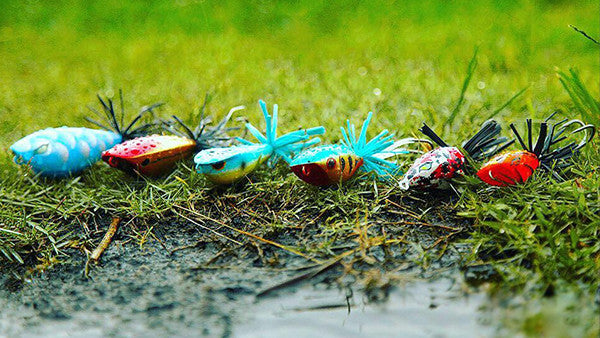 Fishing Topwater Frog Lures – One Stop Marine