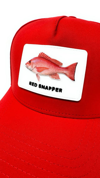 Snapback Cap Flat Bill - Vense