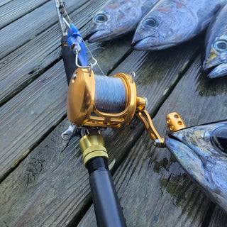 Saltwater 2-Speed Trolling Reel RA600D - Gomexus