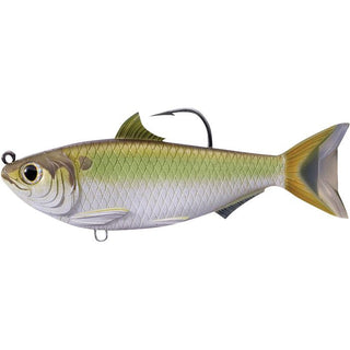 Threadfin Shad - Live Target