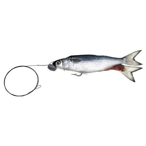 Mullet Wire Rigged Split Tail 1pk