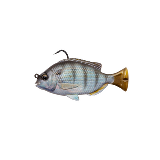 Pulse Tail Pinfish RTF - Savage Gear