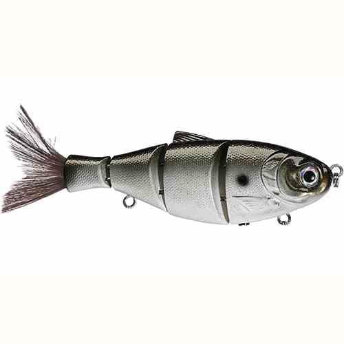 Castaic Boyd Ducket Series Shad Slow Sinking Swimbait 5" Dying Shad