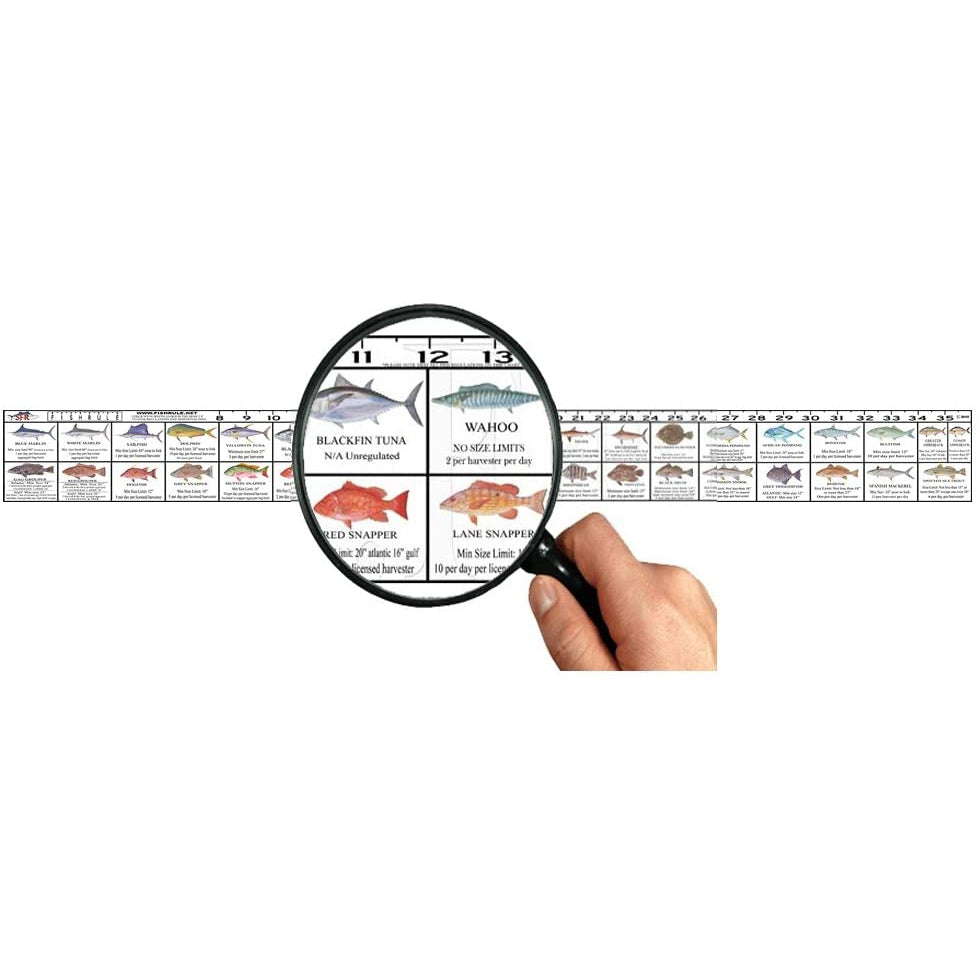 FWC Fish Ruler Florida - Suncoast – One Stop Marine