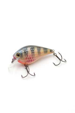 Red Mayan Cichlid /Square Bill - Tackle Kraft