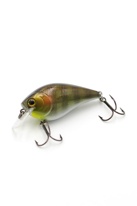 Spotted Tilapia /Square Bill - Tackle Kraft