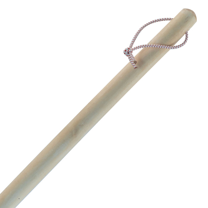 Baitwell Net with Wooden 24inch Handle - Promar