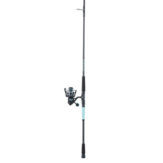 PENN Pursuit III LE Rod & Reel Combo - PENN