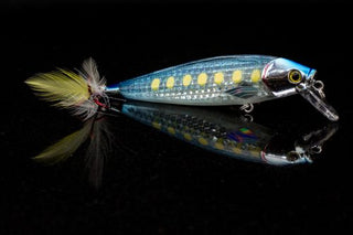 Jerkbait - Fish Surreel