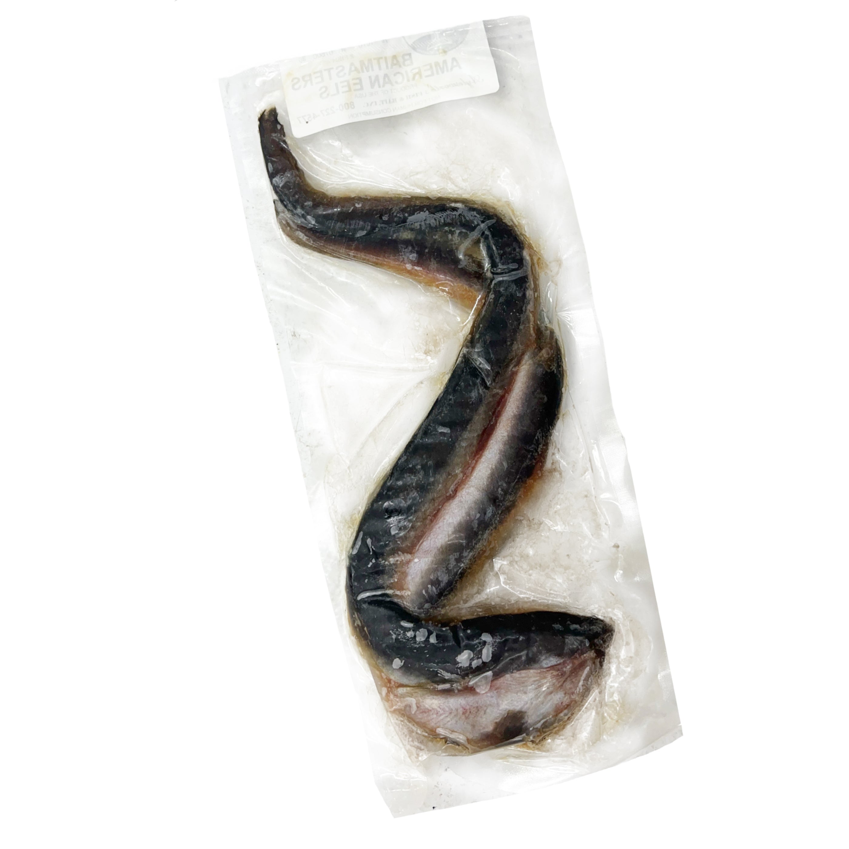 American Eels 2pk Frozen EEL2PK