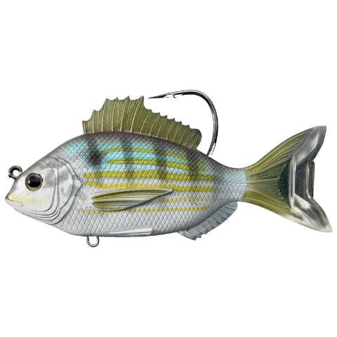 Pinfish 4in - Live Target