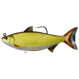 Golden Shiner - Live Target