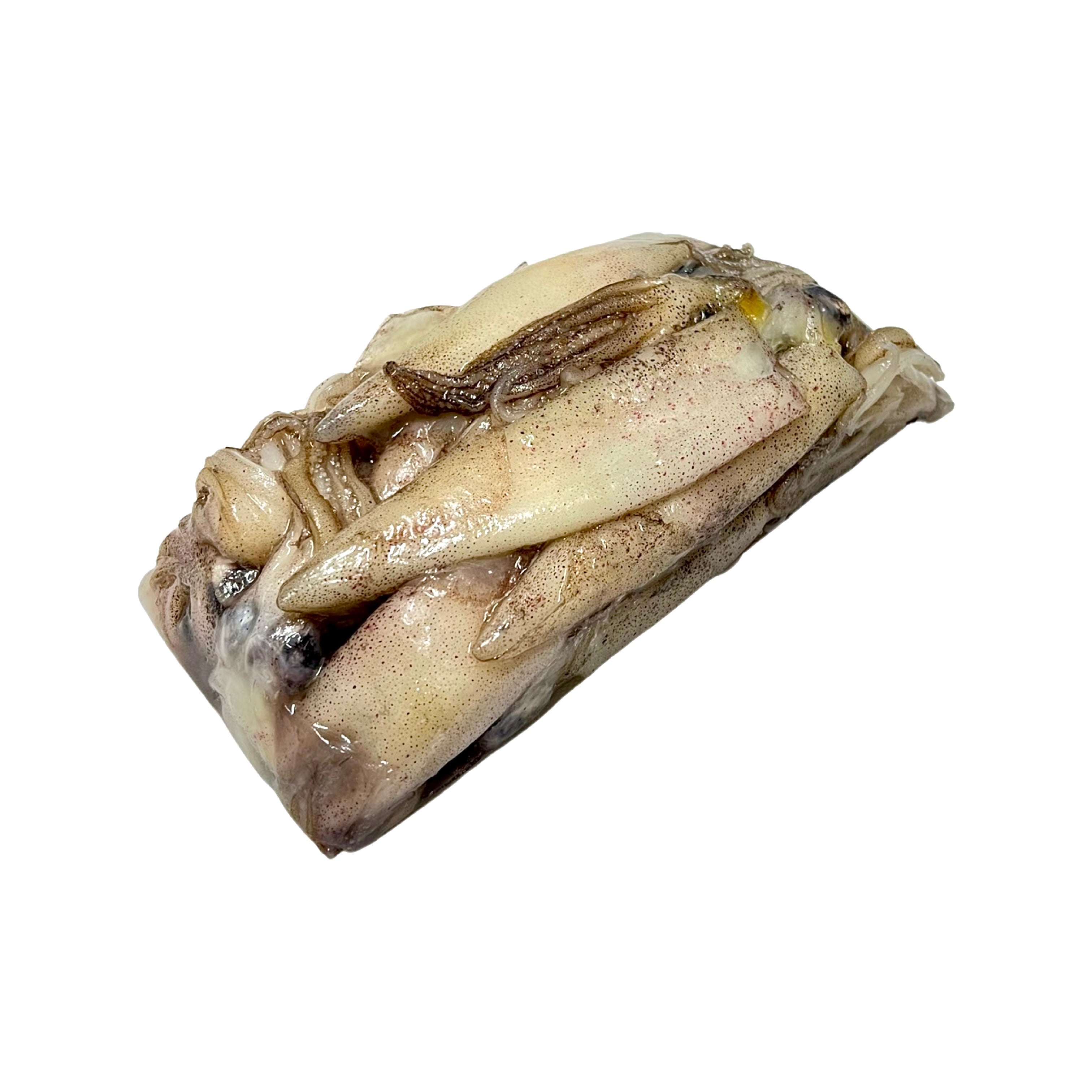 Baitmasters Frozen Squid 1 Pound