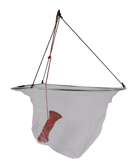 drop nets for pier fishing Economy Bait Hoop Net