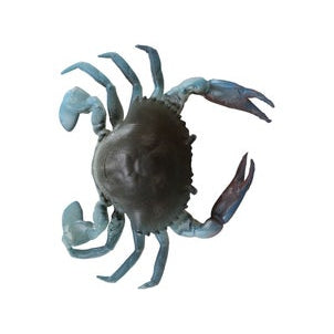 TPE 3D Crab - Savage Gear