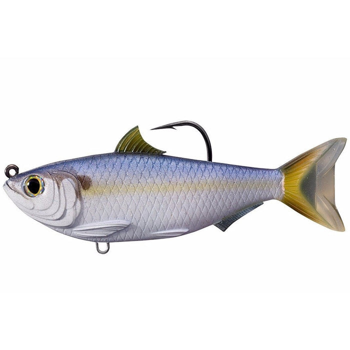 Threadfin Shad 3.5in - Live Target