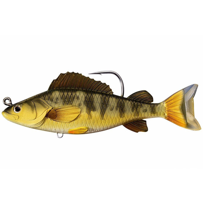 Yellow Perch - Live Target