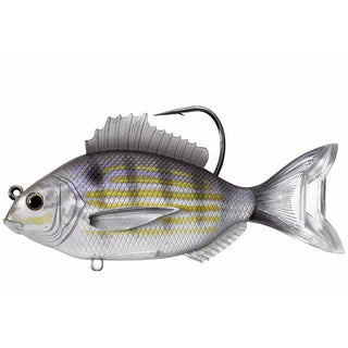 Pinfish - Live Target